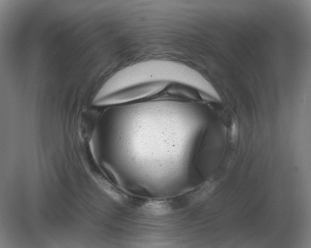 X0000082200280200702021852