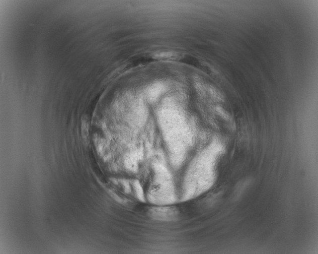 X0000082200281200702021852