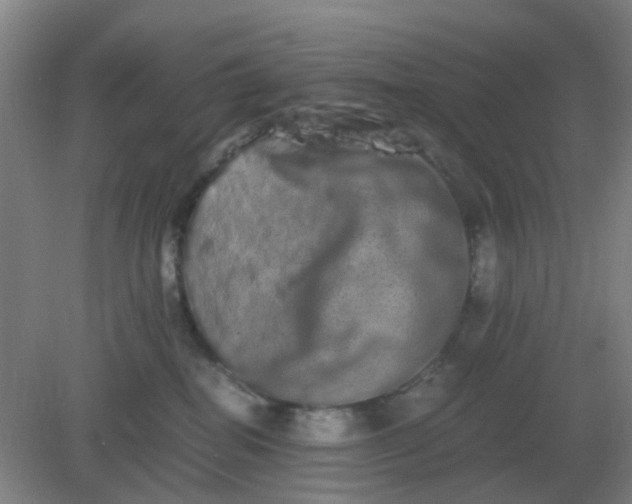 X0000082200282200702021852