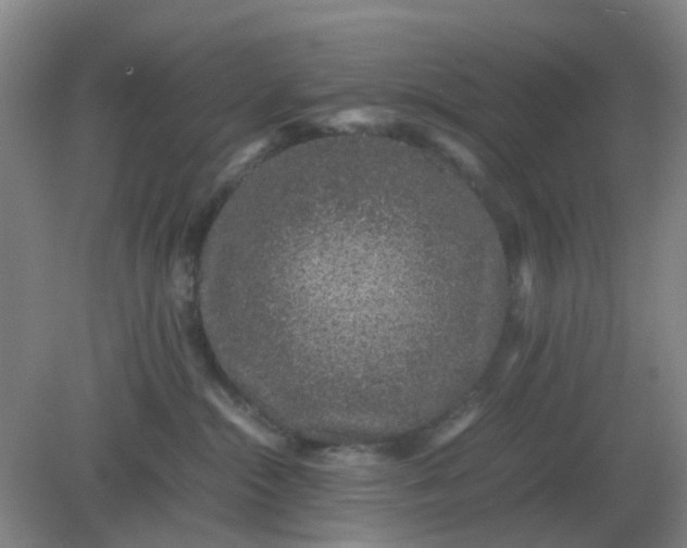 X0000082200284200702021852