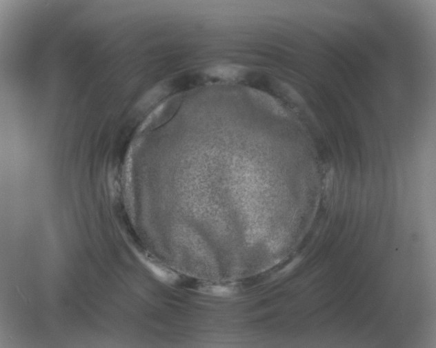 X0000082200285200702021852