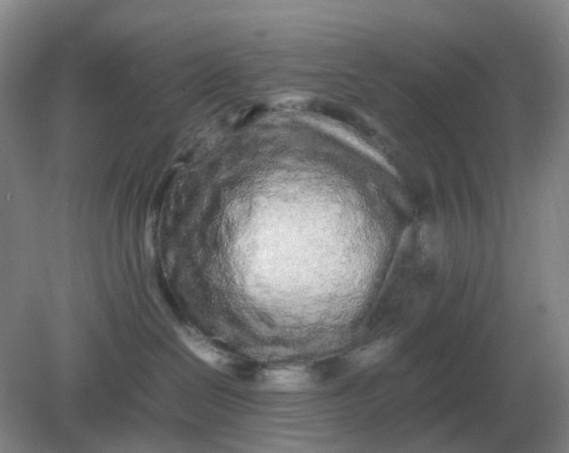 X0000082200286200702021852