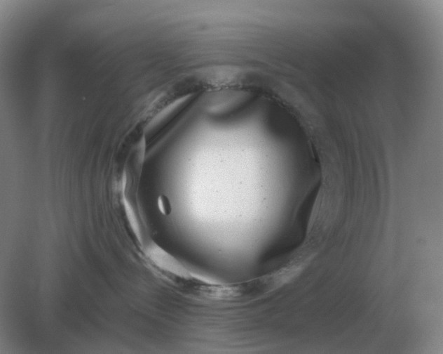 X0000082200288200702021852