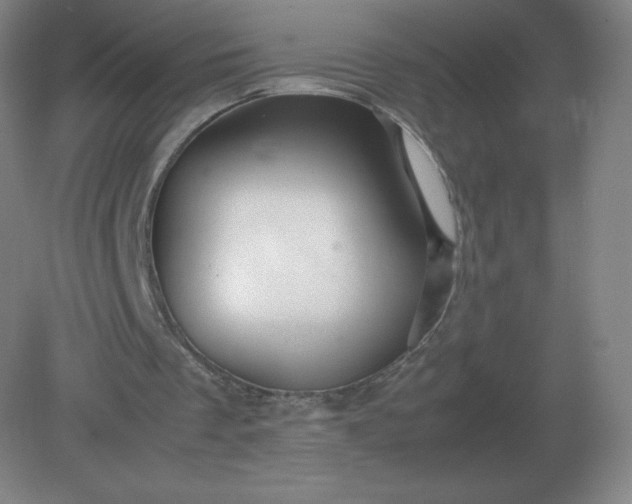 X0000082200289200702021851