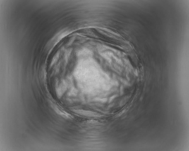 X0000082200290200702021851