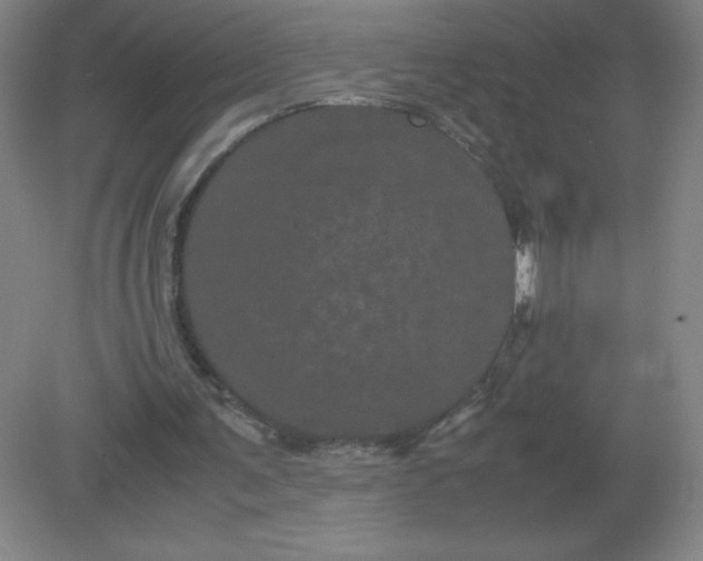 X0000082200291200702021851