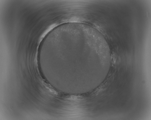 X0000082200292200702021851