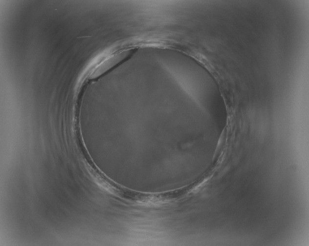 X0000082200293200702021851