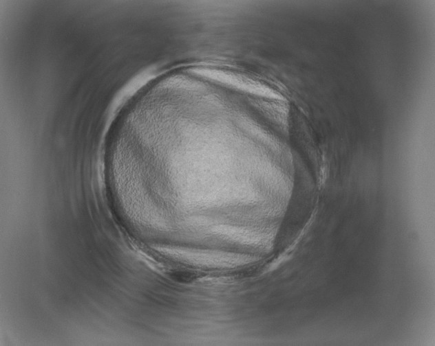 X0000082200294200702021851