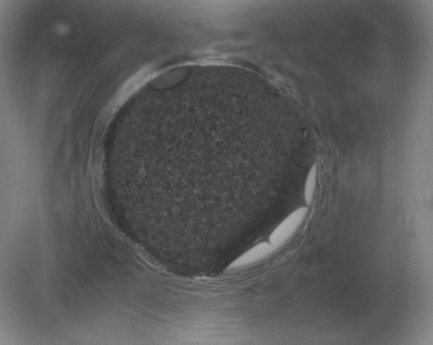 X0000082200295200702021851