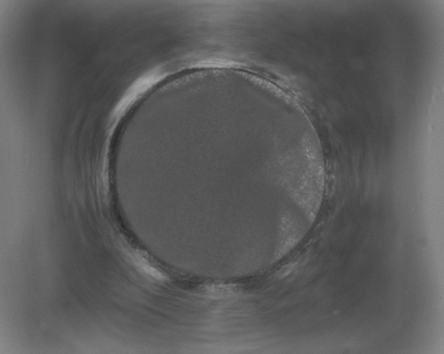 X0000082200296200702021851