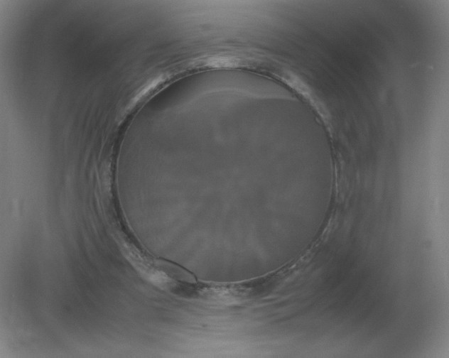 X0000082200297200702021851