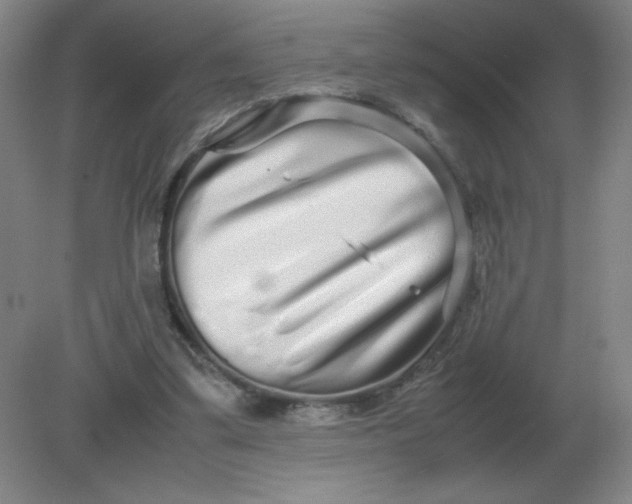 X0000082200299200702021851