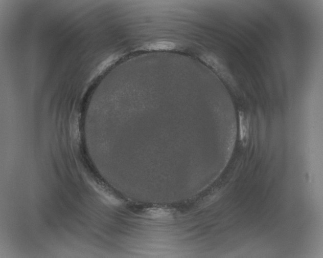 X0000082200300200702021851