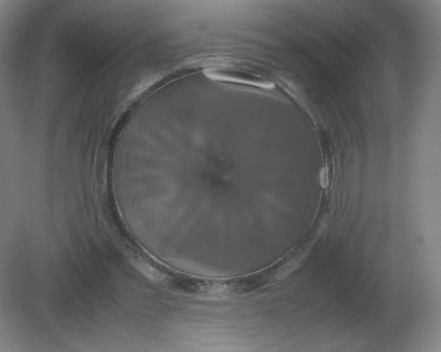 X0000082200301200702021851