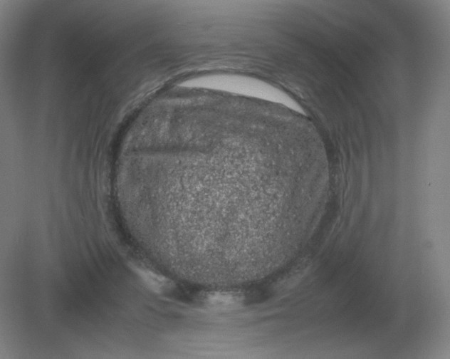 X0000082200303200702021851