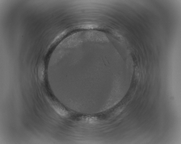 X0000082200304200702021851