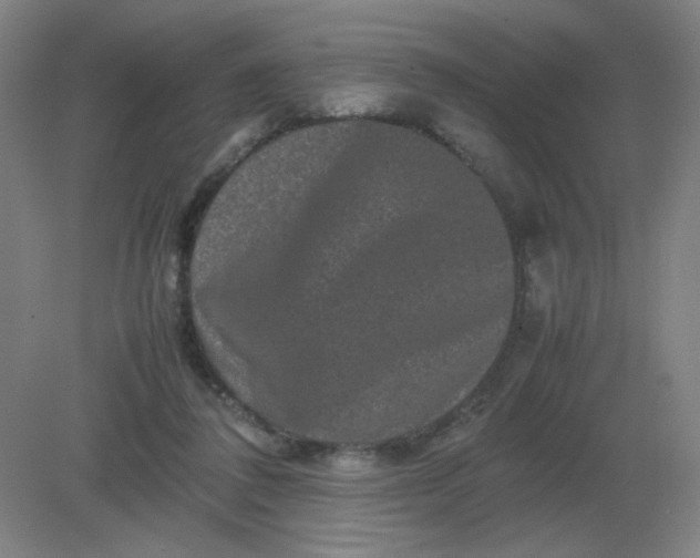 X0000082200308200702021851