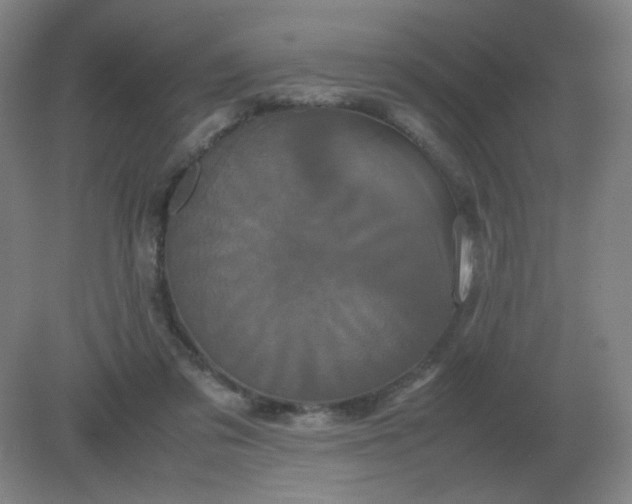 X0000082200309200702021851