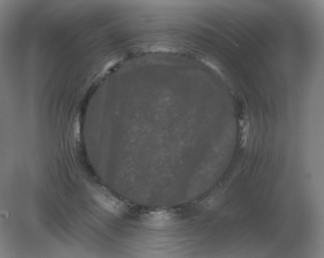 X0000082200310200702021851