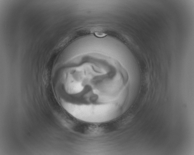 X0000082200311200702021851