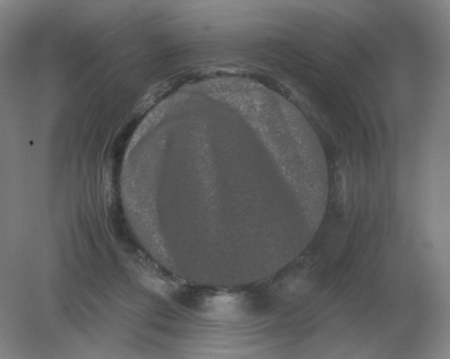 X0000082200312200702021851