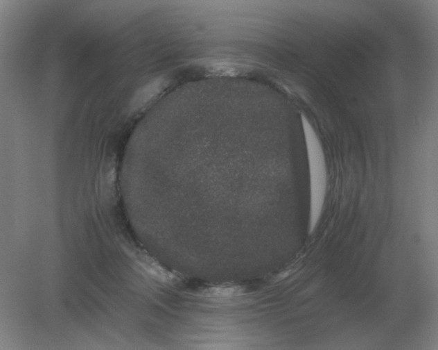 X0000082200314200702021851