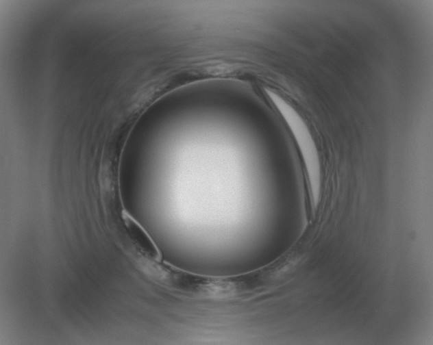 X0000082200317200702021851