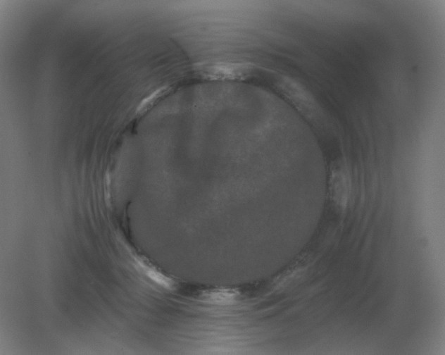 X0000082200318200702021851