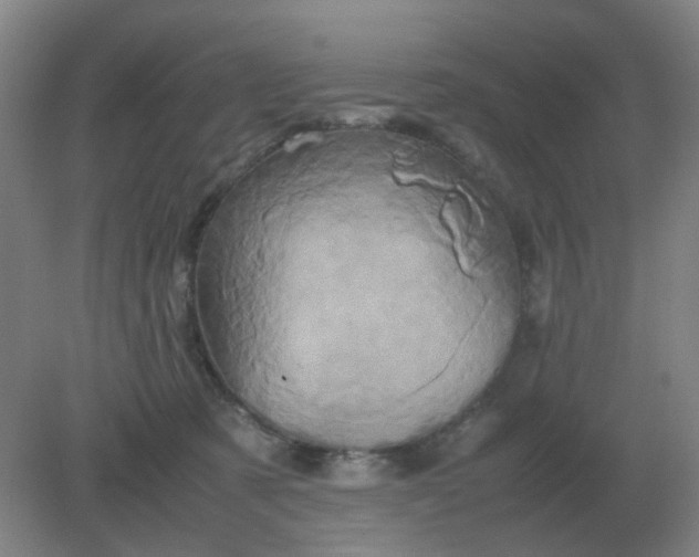 X0000082200321200702021851