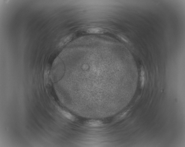 X0000082200322200702021851