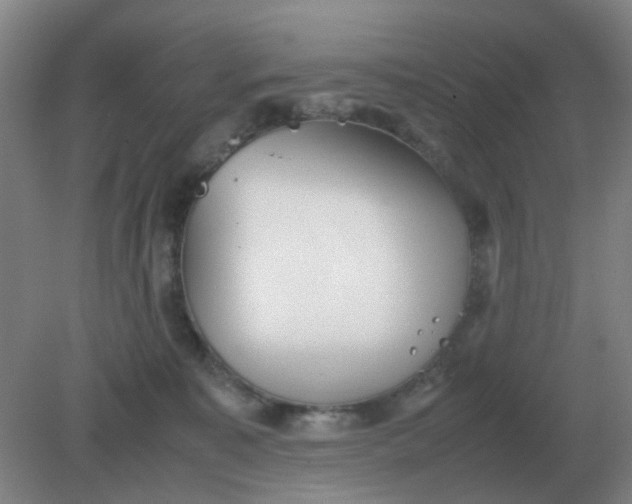 X0000082200323200702021851