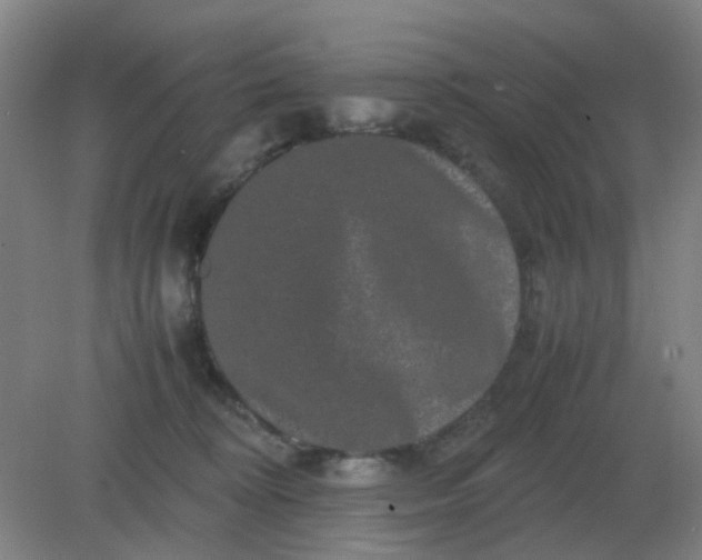 X0000082200324200702021851