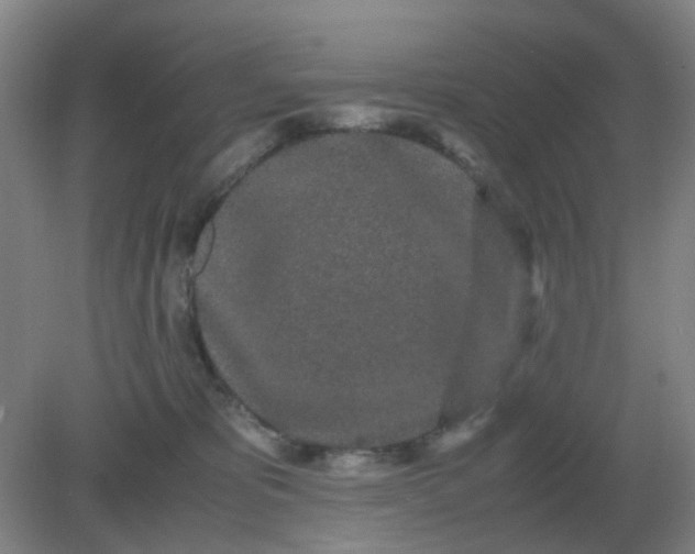 X0000082200325200702021851