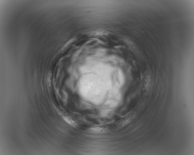 X0000082200326200702021851