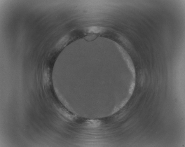 X0000082200328200702021851