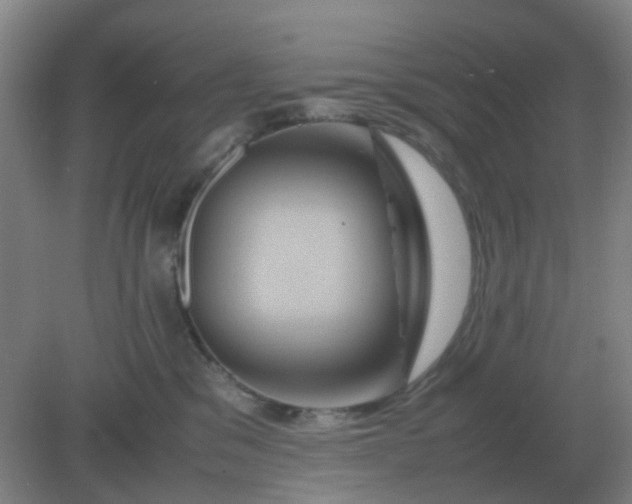 X0000082200329200702021851