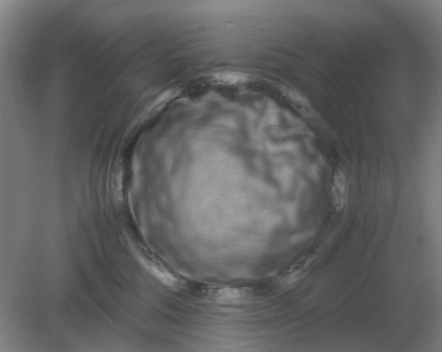 X0000082200330200702021851