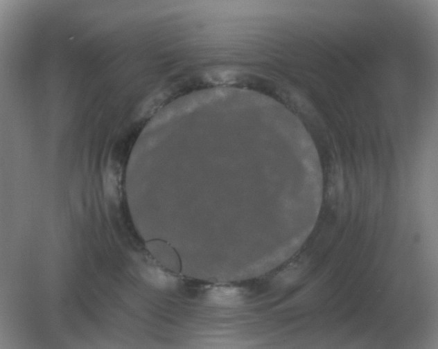 X0000082200332200702021850