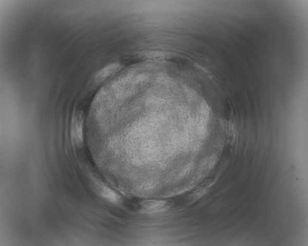 X0000082200334200702021850