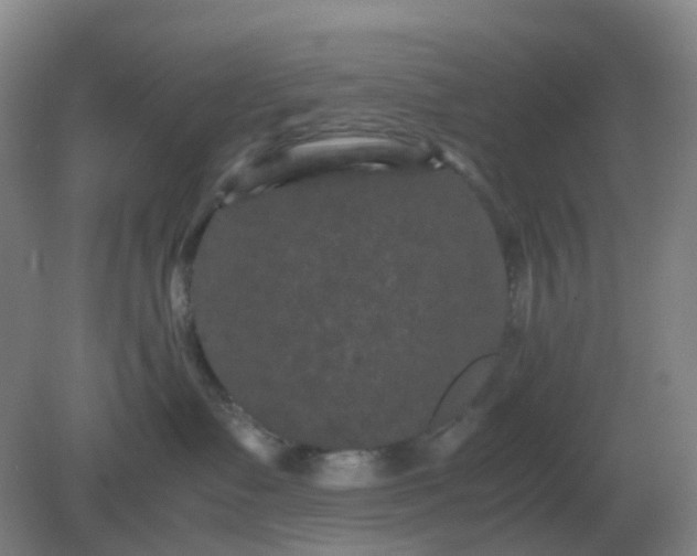 X0000082200335200702021850