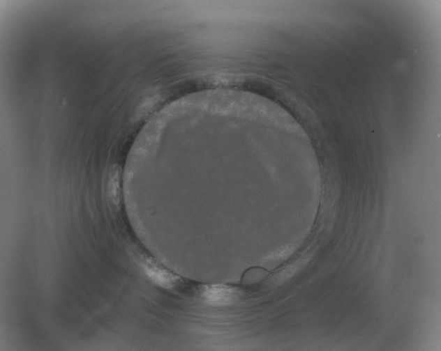 X0000082200336200702021850