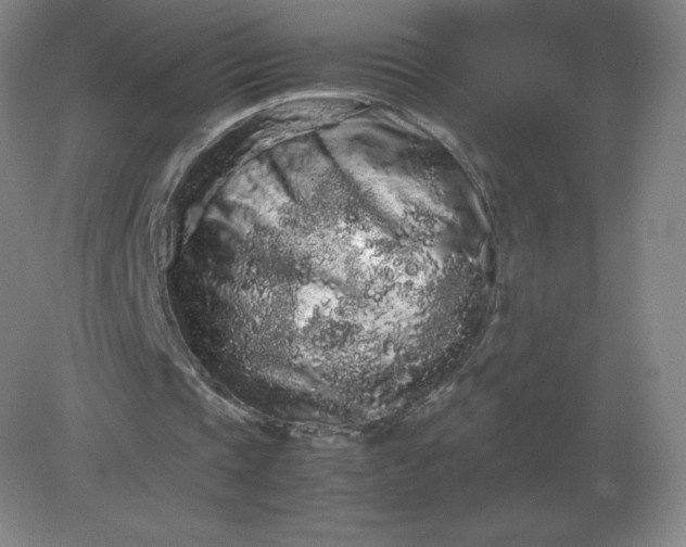 X0000082200337200702021850