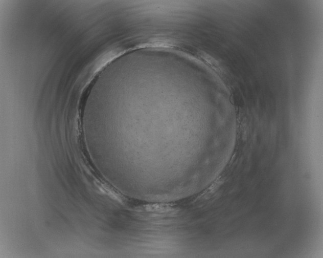 X0000082200338200702021850