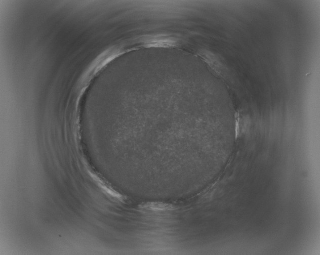 X0000082200339200702021850