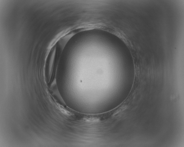 X0000082200340200702021850