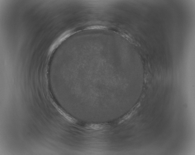 X0000082200341200702021850