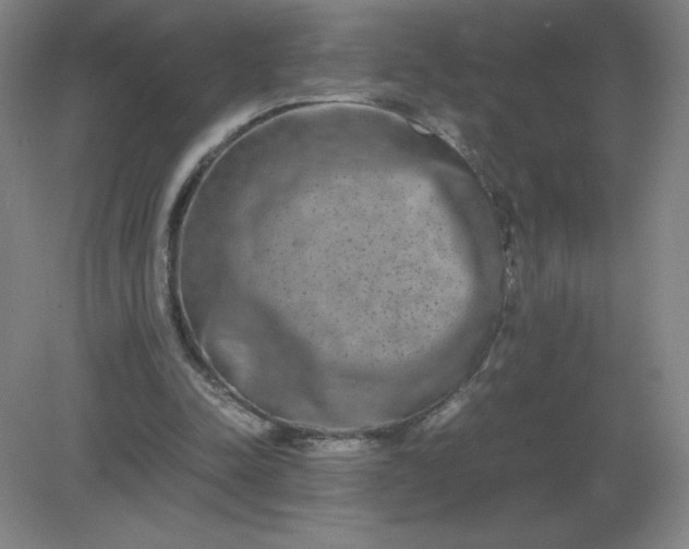 X0000082200342200702021850