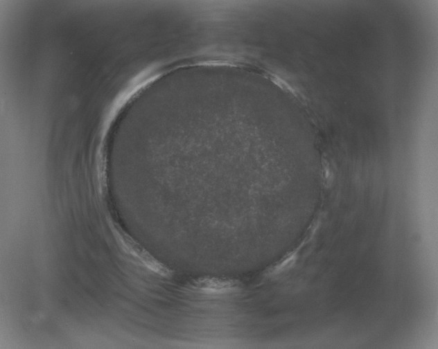 X0000082200343200702021850