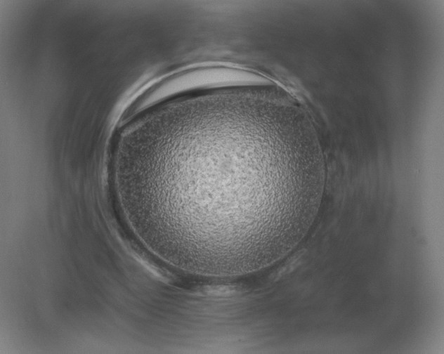 X0000082200344200702021850